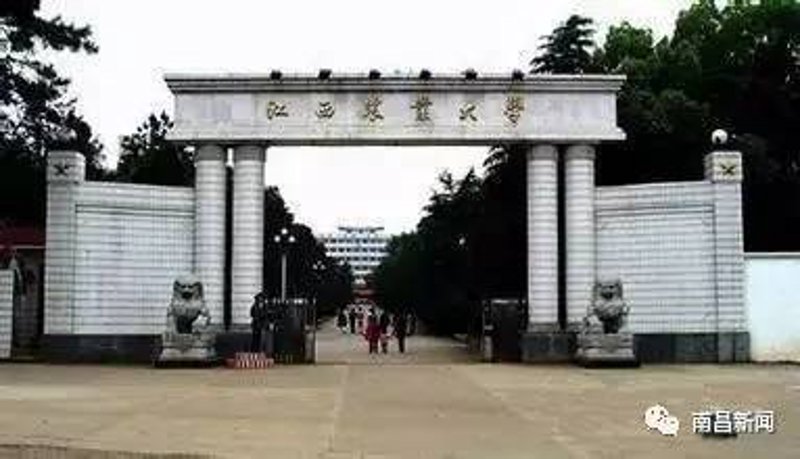 生物技术研发:开启生命科学的新篇章